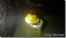 auch ein K&uuml;rbis muss mal ...