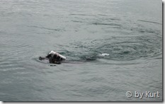 Michael mit seinem Bonex Reference