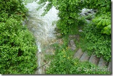Einstieg Unterwasserwald