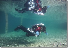 Claus beim Austauchen