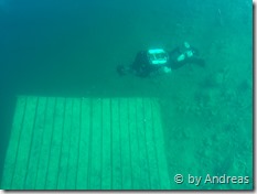 Michael an der 6m Plattform