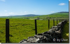 in der n&auml;he von Kirkwall