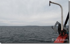 ruhiges Wasser im Flow