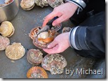 Oliver beim ausnehmen der Muscheln