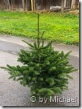 Christbaum