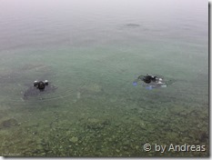 Michael, Kurt und Roland